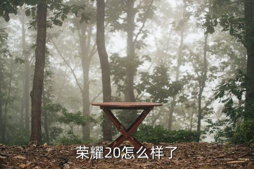 榮耀20怎么樣了