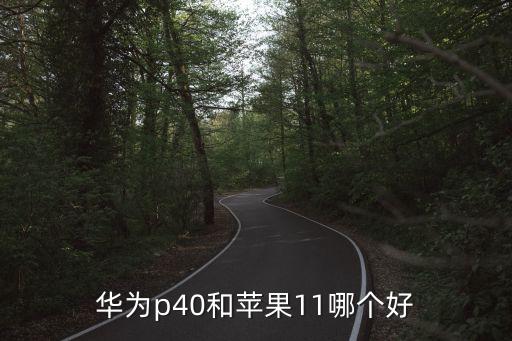 華為p40和蘋(píng)果11哪個(gè)好