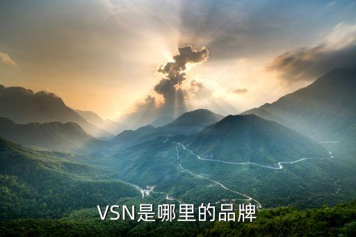 VSN是哪里的品牌