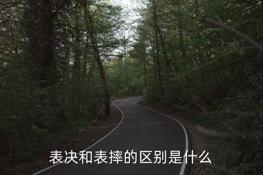 表決，黨支部表決方式有幾種