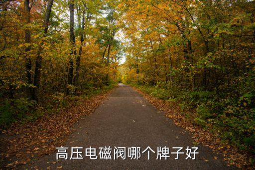 高壓電磁閥哪個(gè)牌子好