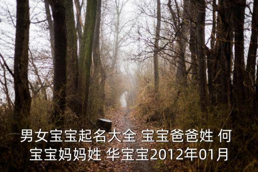 男女寶寶起名大全 寶寶爸爸姓 何 寶寶媽媽姓 華寶寶2012年01月