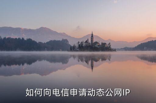 電信申請公網(wǎng)ip，請問中國電信公話IP業(yè)如何辦理呢