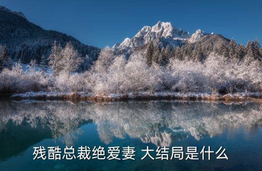 殘酷總裁絕愛妻 大結(jié)局是什么