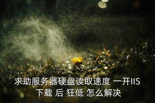 求助服務(wù)器硬盤(pán)讀取速度 一開(kāi)IIS 下載 后 狂低 怎么解決