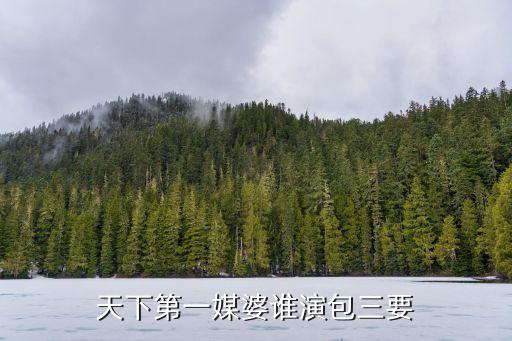 王啟東，電視劇雙面膠中啟東的扮演者是誰(shuí)