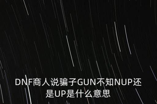 DNF商人說騙子GUN不知NUP還是UP是什么意思