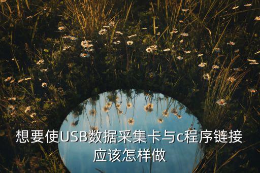 想要使USB數(shù)據(jù)采集卡與c程序鏈接應該怎樣做