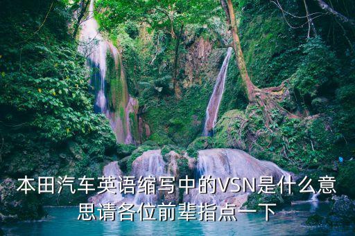 本田汽車英語(yǔ)縮寫中的VSN是什么意思請(qǐng)各位前輩指點(diǎn)一下