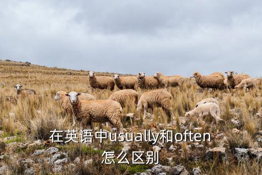 在英語中usually和often怎么區(qū)別