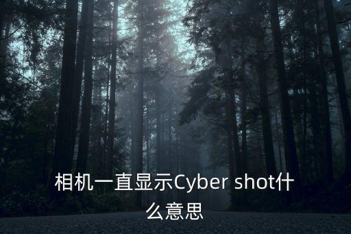 相機一直顯示Cyber shot什么意思