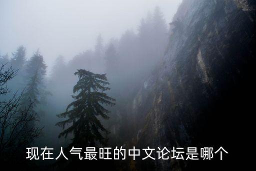 現(xiàn)在人氣最旺的中文論壇是哪個(gè)