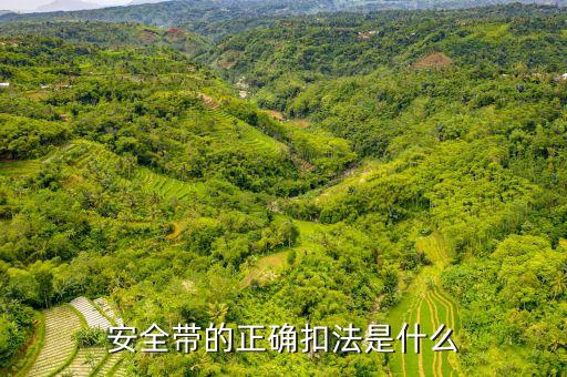 搭扣鎖,這款彈簧鎖扣有何特點(diǎn)?