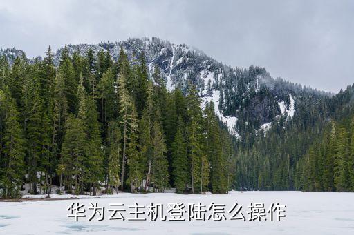 華為云主機(jī)登陸怎么操作