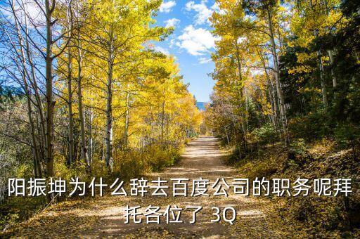 陽振坤，陽振坤為什么辭去百度公司的職務(wù)呢