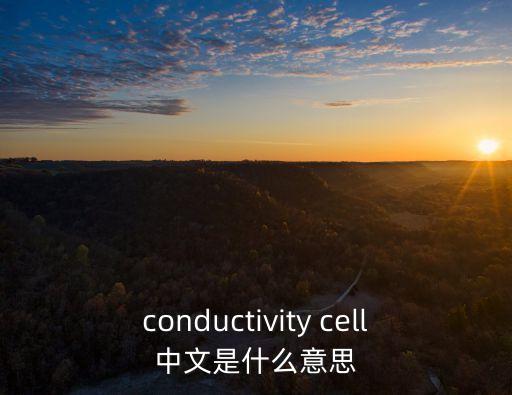 conductivity cell中文是什么意思