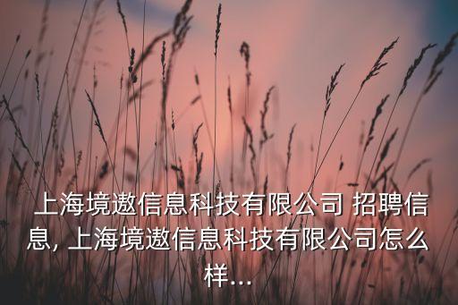  上海境遨信息科技有限公司 招聘信息, 上海境遨信息科技有限公司怎么樣...