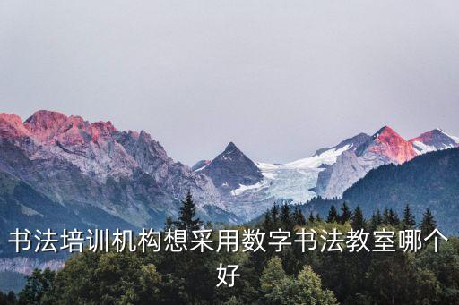書法培訓(xùn)機(jī)構(gòu)想采用數(shù)字書法教室哪個(gè)好