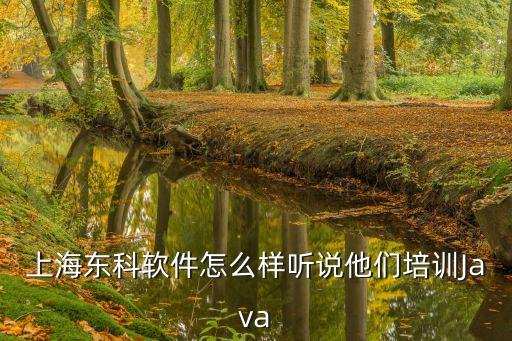上海東科軟件怎么樣聽說他們培訓(xùn)Java