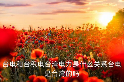 臺電和臺積電臺灣電力是什么關(guān)系臺電是臺灣的嗎