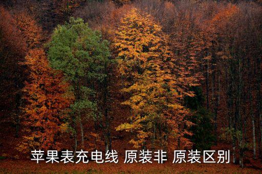 蘋果表充電線 原裝非 原裝區(qū)別