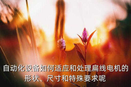 自動(dòng)化設(shè)備如何適應(yīng)和處理扁線電機(jī)的形狀、尺寸和特殊要求呢