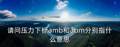 請(qǐng)問(wèn)壓力下標(biāo)amb和abm分別指什么意思