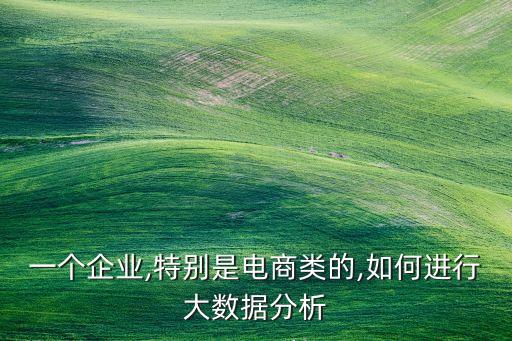 一個(gè)企業(yè),特別是電商類(lèi)的,如何進(jìn)行大數(shù)據(jù)分析