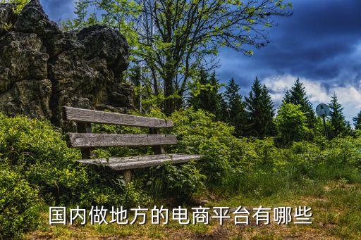 國內做地方的電商平臺有哪些