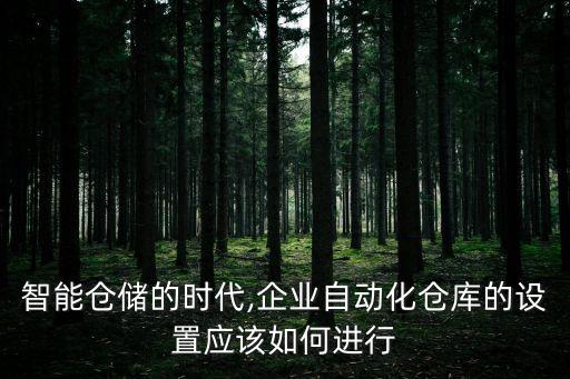 智能倉儲(chǔ)的時(shí)代,企業(yè)自動(dòng)化倉庫的設(shè)置應(yīng)該如何進(jìn)行