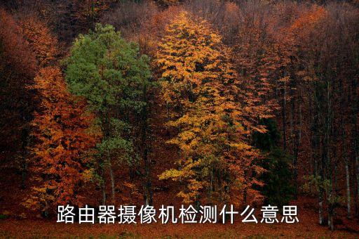 路由器攝像機(jī)檢測(cè)什么意思
