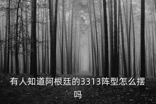 有人知道阿根廷的3313陣型怎么擺嗎