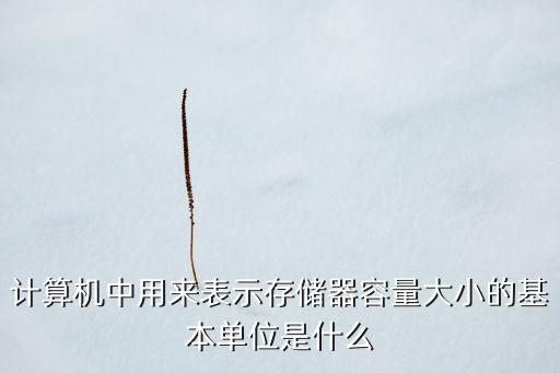數(shù)據(jù)存儲中心 容量大小,數(shù)據(jù)存儲主要關(guān)注存儲容量問題