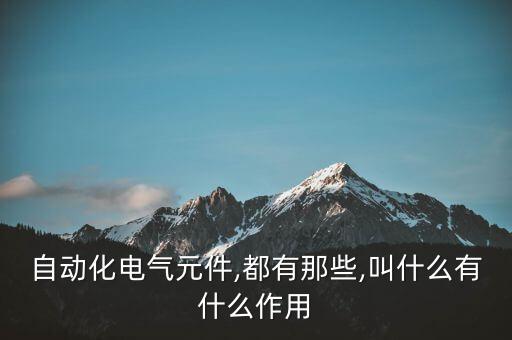 自動(dòng)化電氣元件,都有那些,叫什么有什么作用