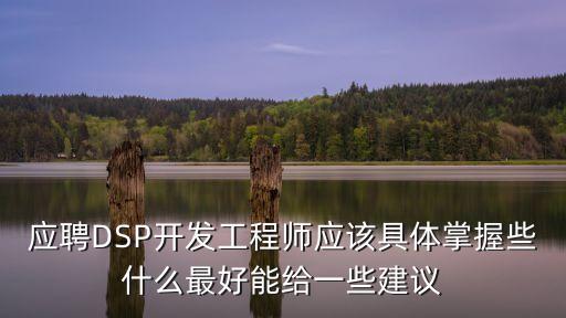 應(yīng)聘DSP開發(fā)工程師應(yīng)該具體掌握些什么最好能給一些建議