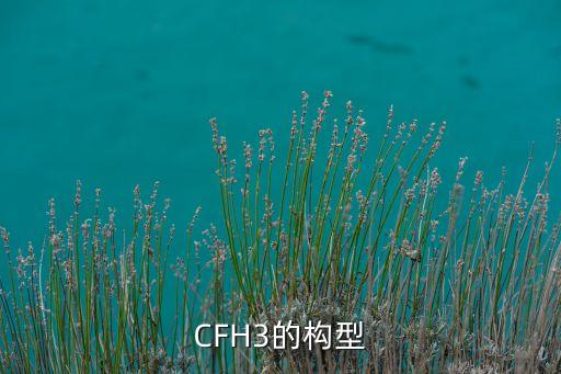CFH3的構(gòu)型
