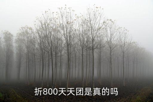 折800天天團(tuán)是真的嗎