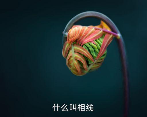 相線是什么線，電氣線路中相線指什么