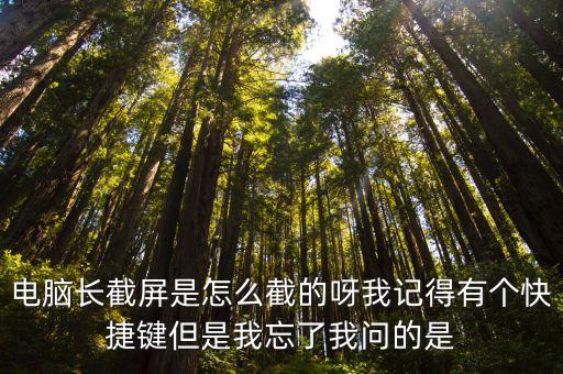 電腦長截屏是怎么截的呀我記得有個快捷鍵但是我忘了我問的是
