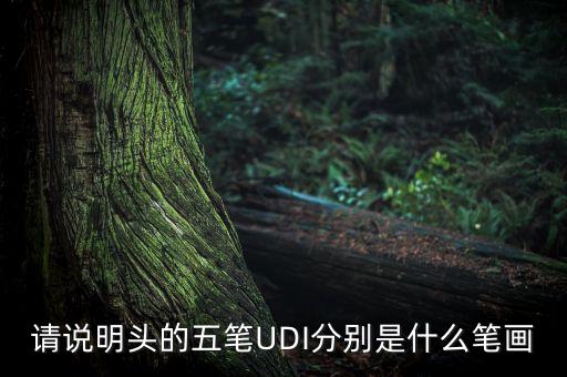 udi，請(qǐng)說(shuō)明頭的五筆UDI分別是什么筆畫(huà)