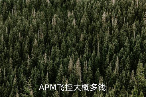 APM飛控大概多錢