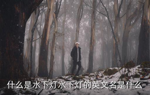 什么是水下燈水下燈的英文名是什么