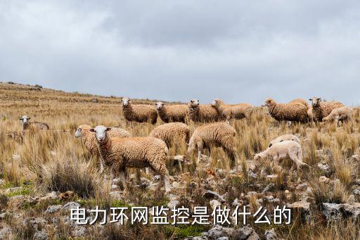 電力環(huán)網(wǎng)監(jiān)控是做什么的