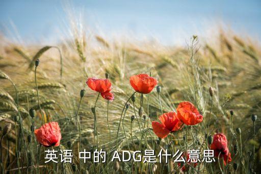 英語 中的 ADG是什么意思