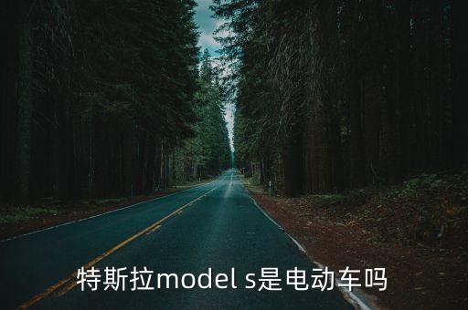 特斯拉s，這是什么車 多少錢