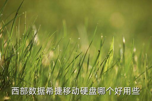 西部數(shù)據(jù)希捷移動硬盤哪個好用些