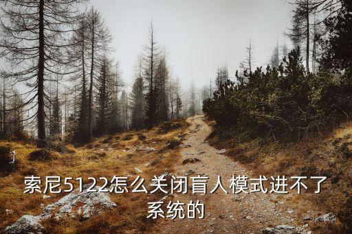 索尼5122怎么關(guān)閉盲人模式進不了系統(tǒng)的