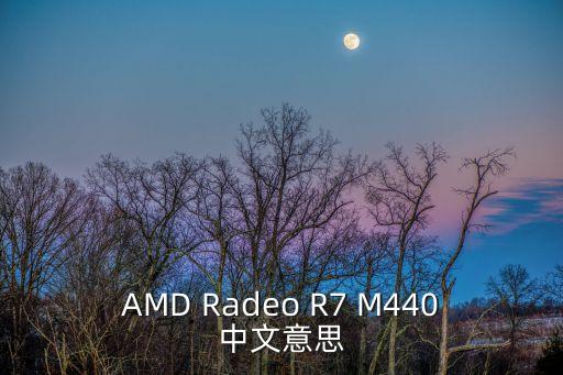 AMD Radeo R7 M440中文意思