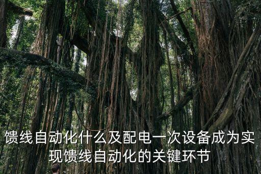 饋線自動化什么及配電一次設(shè)備成為實現(xiàn)饋線自動化的關(guān)鍵環(huán)節(jié)
