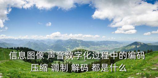 信息圖像 聲音數(shù)字化過(guò)程中的編碼 壓縮 調(diào)制 解碼 都是什么